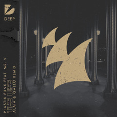 The Life (Alaia & Gallo Remix) [feat. Mr. V]