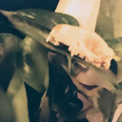 yorkshire boy at sea