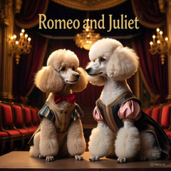 Romeo & Juliet