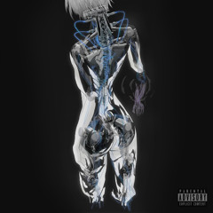 Ghost in the shell (prod..vinxia)