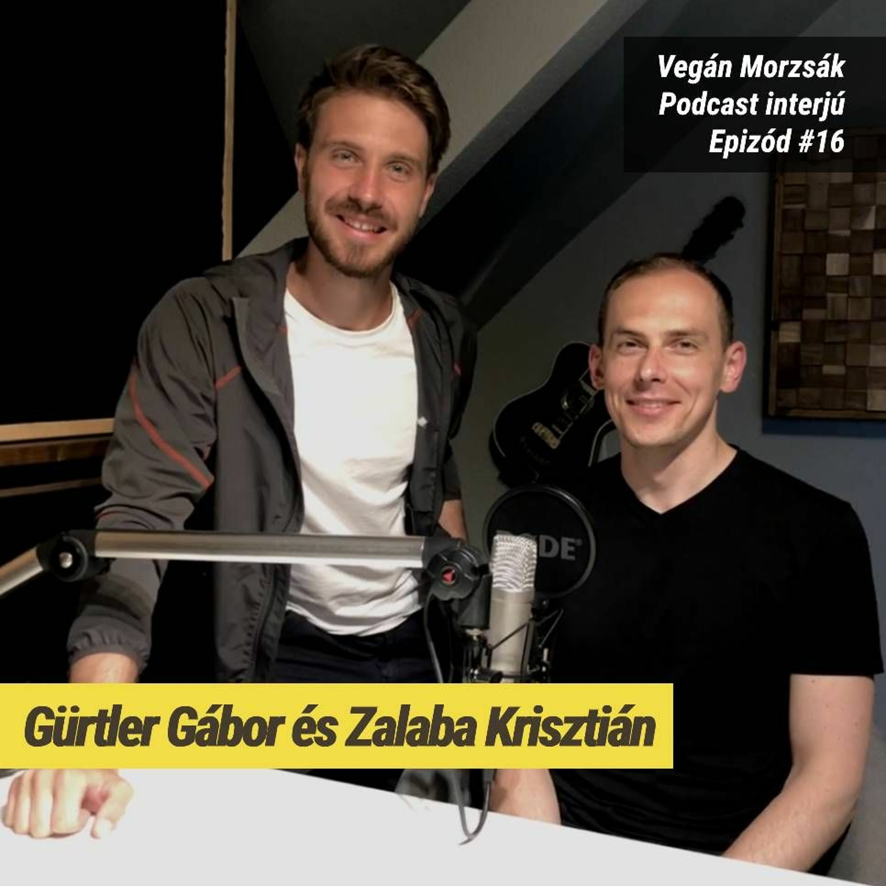 Vegán Morzsák Podcast