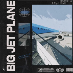 Restricted - Big Jet Plane (ToMy-Z Remix)