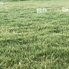 BEN SHEAHAN b2b Dispatch