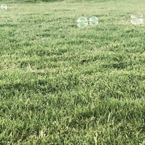 BEN SHEAHAN b2b Dispatch