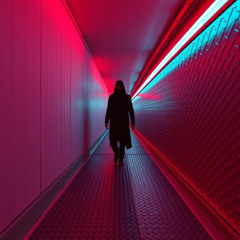 THE VOICE IN THE WALLS