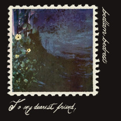 bedlam bedrest - seashells