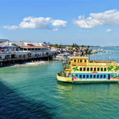 Best Things To Do In Palmetto Florida Tours Reviews