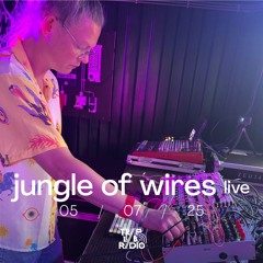 Jungle Of Wires (Live)