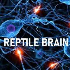 REPTILE_BRAIN_[evolution-1]