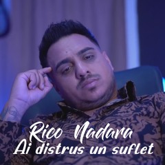 Ai distrus un suflet