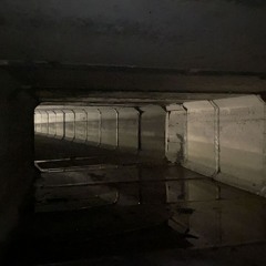 MACHINES OF LOVING GRACE W/ Cult Friends 300525