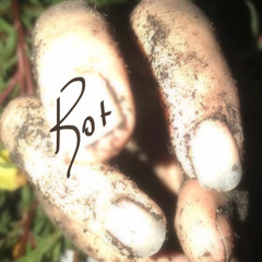 Rot