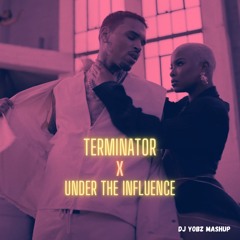 Terminator X Under The Influence (DJ Yobz Mashup)