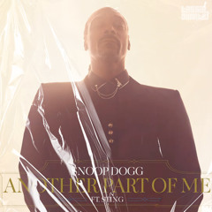 Snoop Dogg - Another Part of Me (ft. Sting) (Tássio Duarte ReMiX Party Up Extended) Full Click Buy
