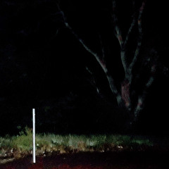 Devil's Hill (ft. KMT)