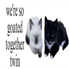 Yɪɴɢ & Yᴀɴɢ