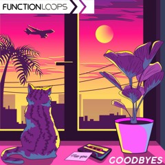 Function Loops - Goodbyes - Lofi Hiphop