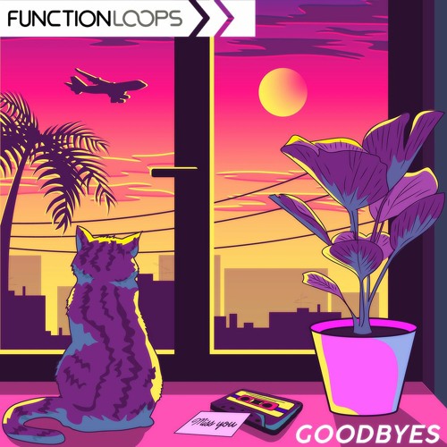 Function Loops - Goodbyes - Lofi Hiphop