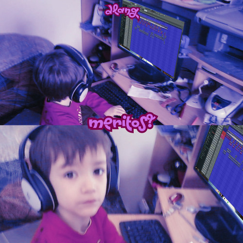 meritos? - Dlang