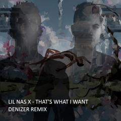 Lil Nas X - That's What I Want (DeniZer Remix)