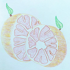 GRAPEFRUIT V