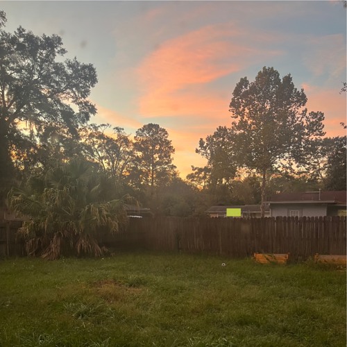 cheated but dont care (prod. kolji)