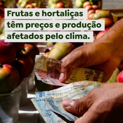 Frutas e hortaliças têm preços e produção afetados pelo clima