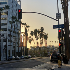 las flores que no te di