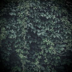 Wicked Garden (Stone Temple Pilots Cover)