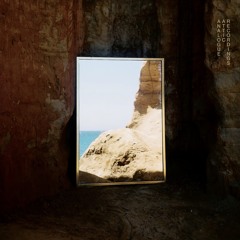 Forest from the trees