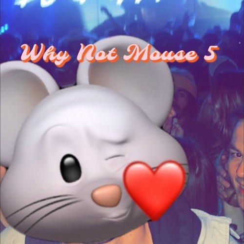 WHY NOT MoUSe 5 - 2:23:23, 4.58 PM