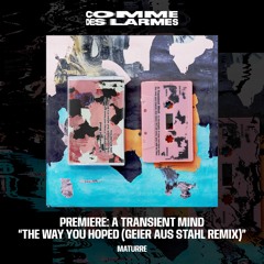 PREMIERE CDL || A Transient Mind - The Way You Hoped (Geier Aus Stahl Remix) [Maturre] (2024)