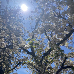 right here (ft. walden)