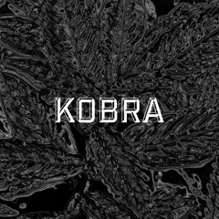 Kobra - Transition
