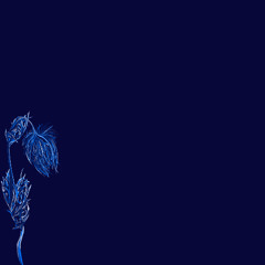 Personne - Je m'explose gratuitement pour la cause.