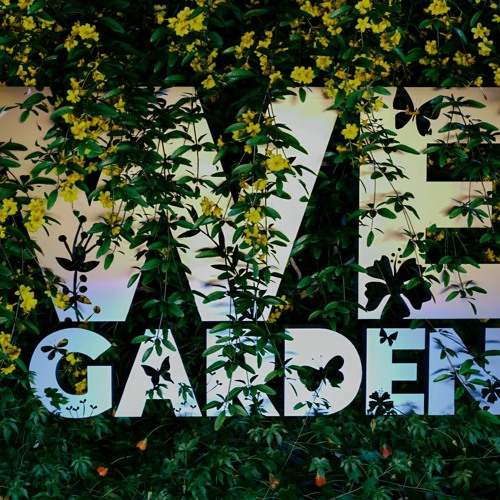 WeGarden Day #018