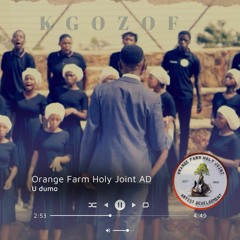Orange Farm Holy Joint