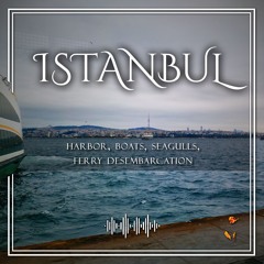 Istanbul Harbor Kabatas Ferrys PssengersDisembarkation