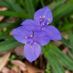 Final message to you