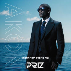 Akon - Right Now (PRIZ Remix)