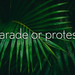 "parade or protest?" - John 12:12-16
