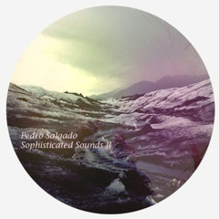 Pedro Salgado - Sophisticated Sounds II (Recorded in 2011)