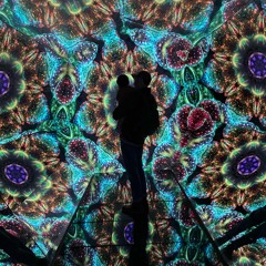 Ambient / 4th World / Downtempo / Trip-Hop / Indie
