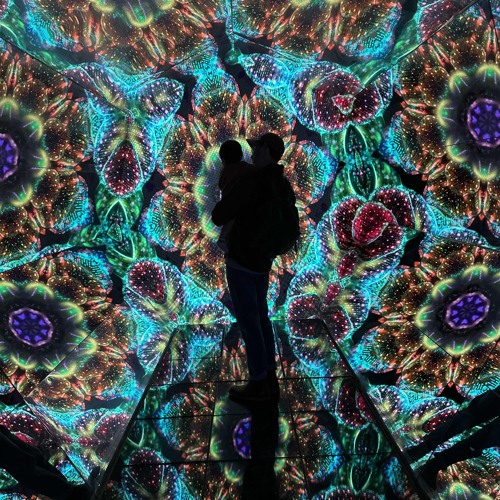 Ambient / 4th World / Downtempo / Trip-Hop / Indie