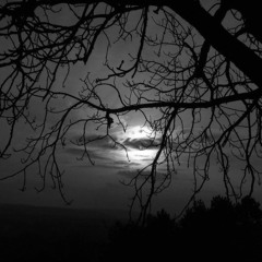 melancholic Moon