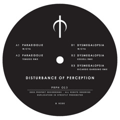 WCYA - Paraeidolie (Temudo Remix) [Prophet Recordings]