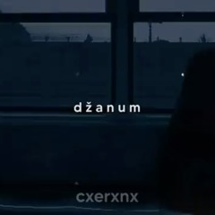 teya dora - džanum (slowed + reverb)