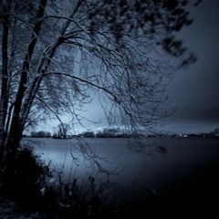 Waltz Of Reflection