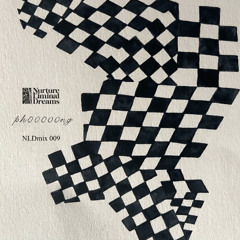 PH00000NG - NLDMIX 009