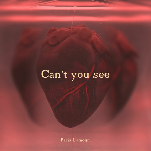 Paris L'amour - Can't You See (Radio Edit)